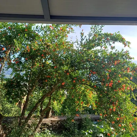 Villa Te Gjyshi Përmet